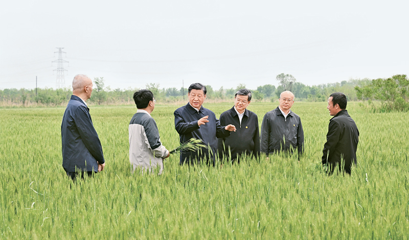 2023年5月11日至12日，中共中央總書記、國家主席、中央軍委主席習(xí)近平在河北考察，并主持召開深入推進(jìn)京津冀協(xié)同發(fā)展座談會(huì)。這是11日上午，習(xí)近平在滄州市黃驊市舊城鎮(zhèn)仙莊片區(qū)旱堿地麥田考察時(shí)，同種植戶、農(nóng)技專家親切交流。 新華社記者 李學(xué)仁/攝